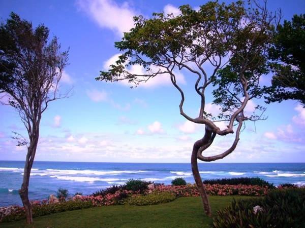 Villa Cantamar Кабрера Экстерьер фото